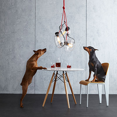 Two dogs sit at a table below a Hubbardton Forge ceiling light | Capitol Lighting