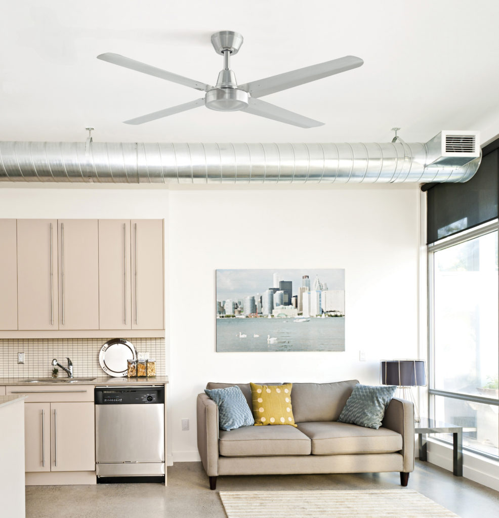 Ascension 54 Inch Ceiling Fan by Fanimation