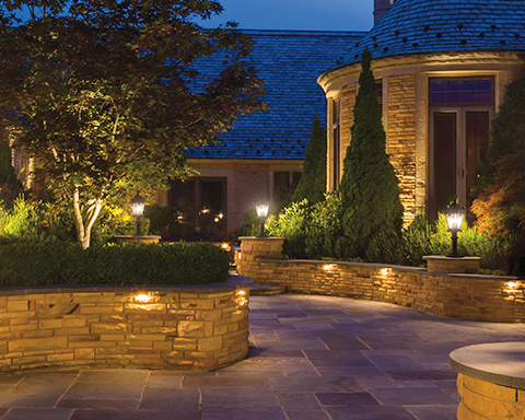 Best Landscape Lighting for Fall