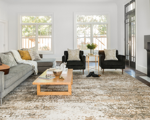 Neutral Area Rug Ideas to Make Your Living Room More Stylish