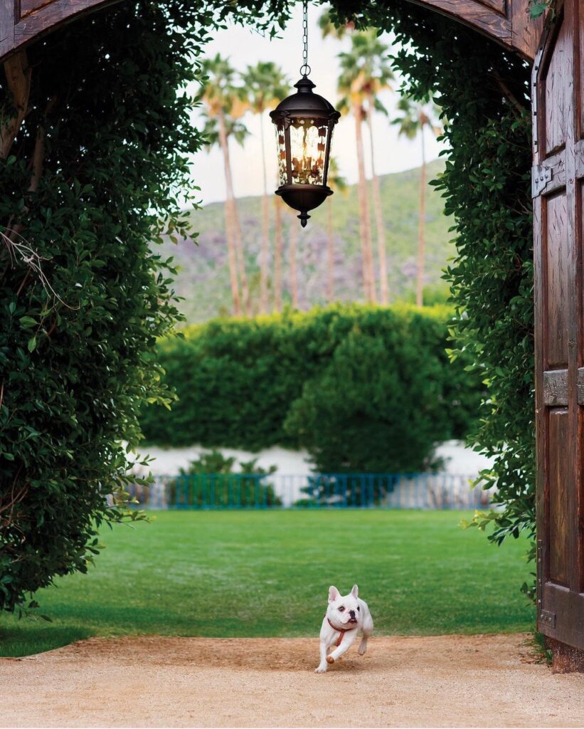 Hanging lantern under a vine-covered arch lighting a garden entry.