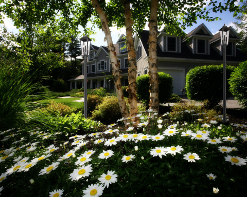 Modern Garden Lighting Ideas for a Contemporary Outdoor Glow