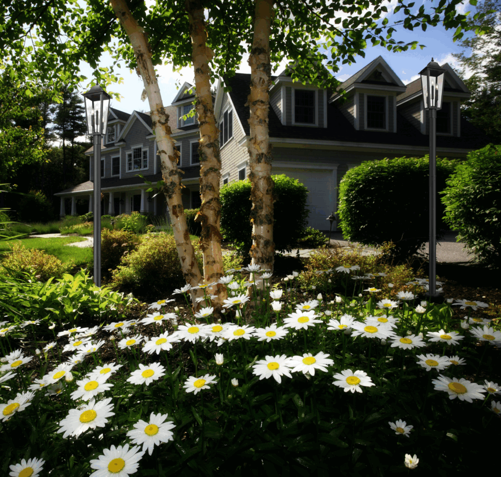 Modern Garden Lighting Ideas for a Contemporary Outdoor Glow